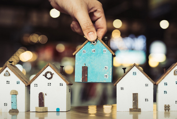 Purchase-Established-House